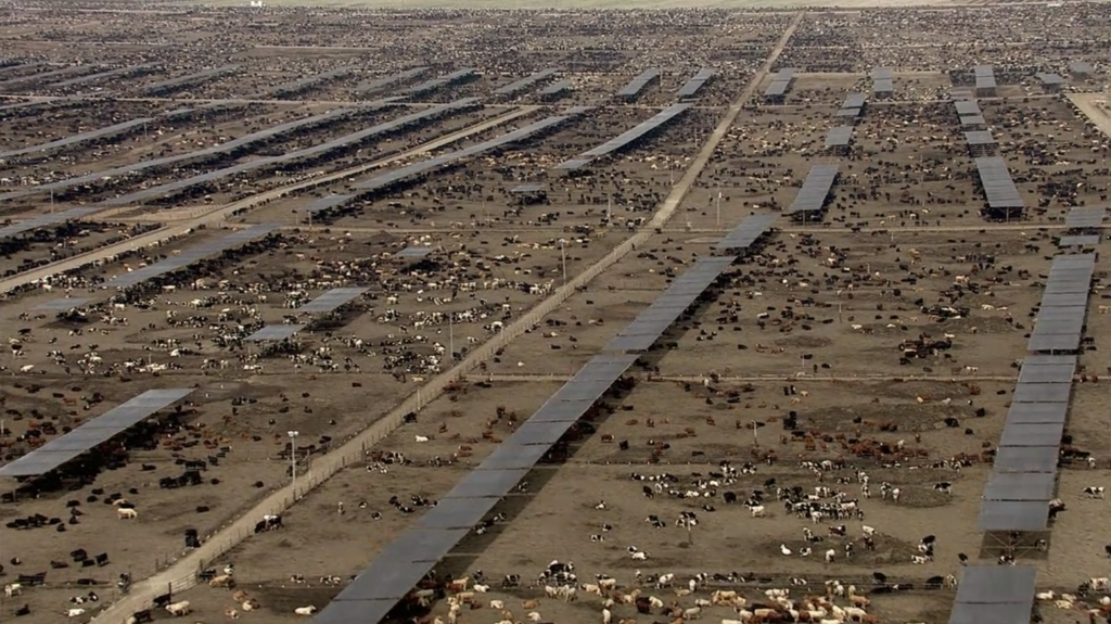 Image d'une ferme moderne américaine issue du documentaire The C World