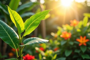 Cultiver un bananier sans graines : le guide incontournable étape par étape