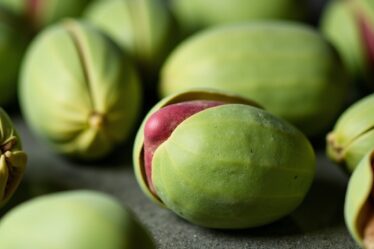 Pista et Pistachio : Plongée au cœur des mystères de cette précieuse graine verte